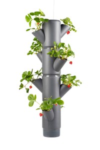 Sissi Strawberry Erdbeerturm hanging anthrazit (4 Etagen) Sissi Strawberry Erdbeerturm hanging anthrazit (4 Etagen)