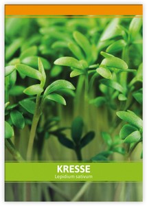 Einfache Kresse