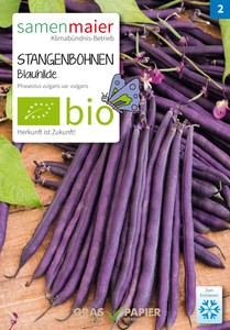 BIO Blauhilde fadenlose Stangenbohne