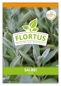 Salbei Salbei
