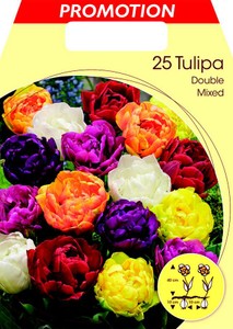Tulpe Double Mischung (25 Stück) (Großpackung) Tulpe Double Mischung (25 Stück) (Großpackung)