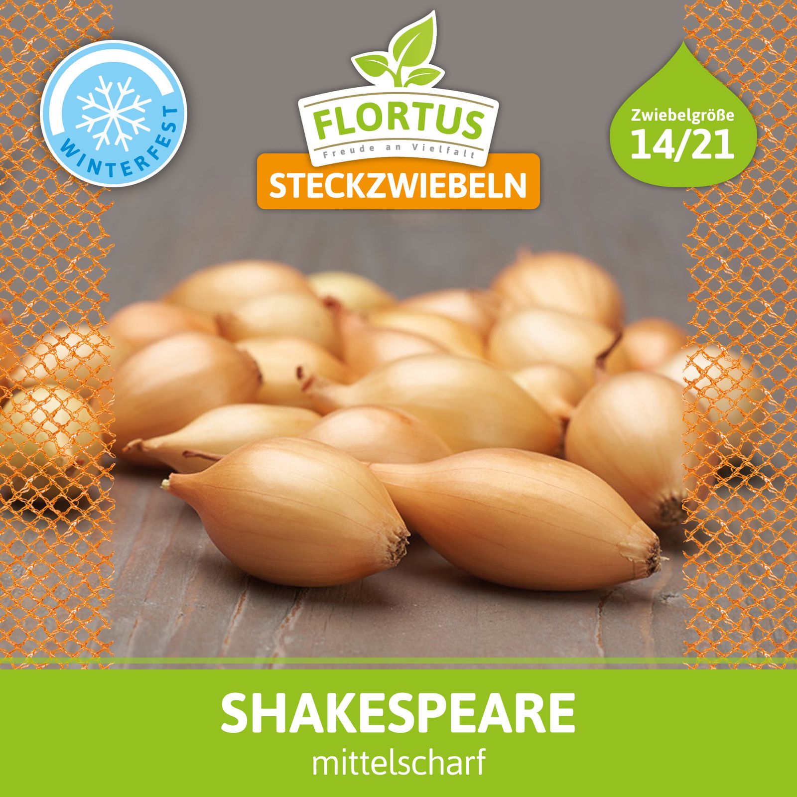 Wintersteckzwiebel Shakespeare (500 g) | Steckzwiebeln von FLORTUS