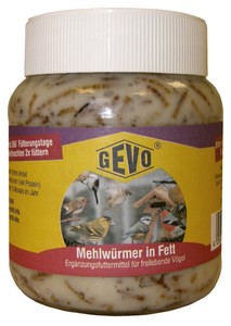 Mehlwürmer in Fett im Glas (240 g)