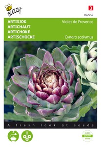 Artischocken Violet de Provence