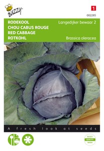 Rotkohl Langedijker Dauer 2
