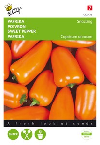 Paprika Snacking mini orange Paprika Snacking mini orange