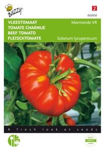 Fleischtomate Marmande VR