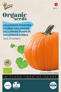 Kürbis Jack O' Lantern [MHD 07/2023]
