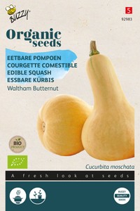 Essbare Kürbis Waltham Butternut Essbare Kürbis Waltham Butternut