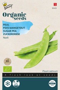 Zuckererbse Norli Zuckererbse Norli