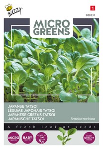 Japanischer Tatsoi