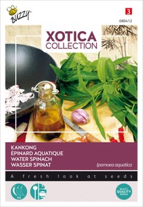 Kankong Wasser Spinat | Spinatsamen von Buzzy Seeds