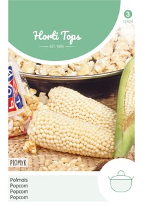 Popcornmais Plomyk Popcornmais Plomyk