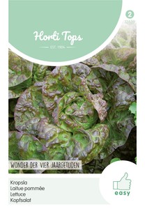 Kopfsalat Merveille Des Quatre Saisons Kopfsalat Merveille Des Quatre Saisons