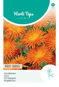 Ringelblume Radio Orange
