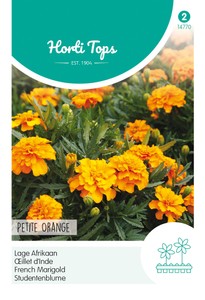 Niedrige Studentenblume Petite Orange Niedrige Studentenblume Petite Orange