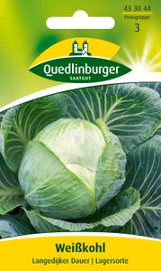 Weißkohl Langedijker