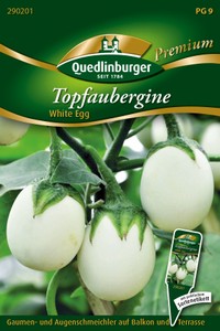 Aubergine White Egg Aubergine White Egg