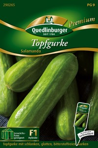 Gurke Salamanda F1