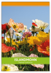 Island Mohn für Werbezwecke