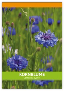 Kornblume für Werbezwecke