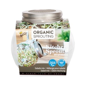 Sprossenglas mit BIO Keimsprossen Salatmischung Sprossenglas mit BIO Keimsprossen Salatmischung