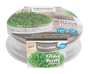 BIO Keimsprossen Salatrauke mit Keimschale BIO Keimsprossen Salatrauke mit Keimschale