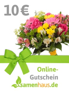 10,- € Online-Geschenkgutschein 10,- € Online-Geschenkgutschein