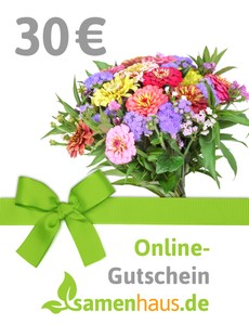 30,- € Online-Geschenkgutschein