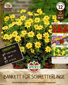 Bankett für Schmetterlinge (28 Stück)
