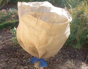 Jute-Schutzvlies Natur (500 x 105 cm)