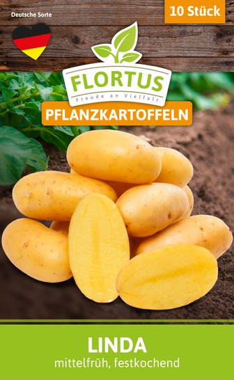 Kartoffel Linda (10 Stück) (mittelfrüh, festkochend) Kartoffel Linda (10 Stück) (mittelfrüh, festkochend)