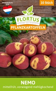 Pflanzkartoffel Nemo (mittelfrüh, vorwiegend mehligkochend)