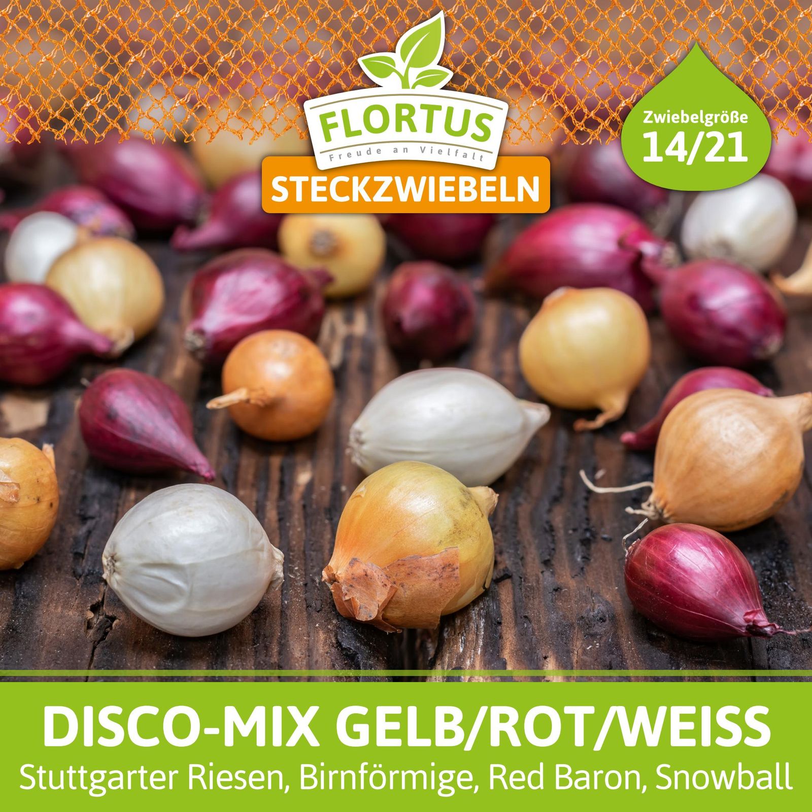 Steckzwiebel Disco-Mix Gelb/Rot/Weiß (250 g) | Steckzwiebeln von