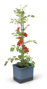 Tom Tomato Tomatentopf blau Tom Tomato Tomatentopf blau