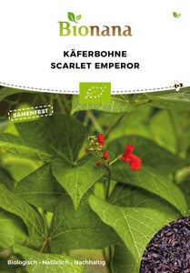BIO Käferbohne Scarlet Emporer BIO Käferbohne Scarlet Emporer