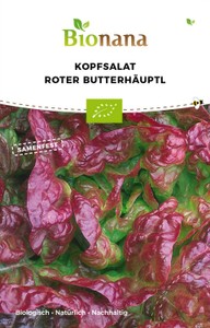 BIO Kopfsalat Roter Butterhäuptel BIO Kopfsalat Roter Butterhäuptel