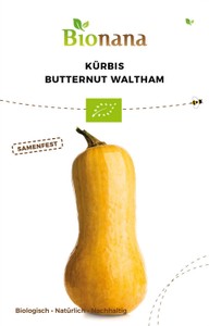 BIO Kürbis Butternut Waltham BIO Kürbis Butternut Waltham