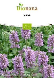 BIO Ysop [MHD 12/2023]