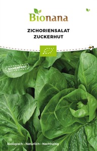 BIO Zuckerhut [MHD 12/2023]