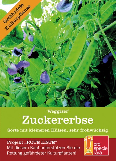 BIO Zuckererbse Weggiser BIO Zuckererbse Weggiser