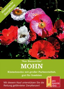BIO Mohn Von Reconvilier bunt BIO Mohn Von Reconvilier bunt