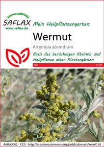 Wermut