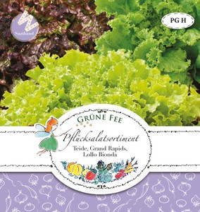 Pflücksalat 3 Sorten