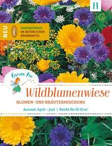 Wildblumen und Kräuterwiese [MHD 01/2024]