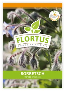 Borretsch