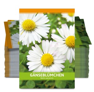 Asseln im Beet  schdlich oder ntzlich? - Samenhaus Gartenblog