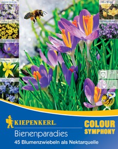Colour Symphony Bienenparadies (45 Stück) Colour Symphony Bienenparadies (45 Stück)