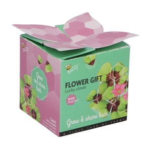 Geschenkbox 4-blättriges Kleeblatt