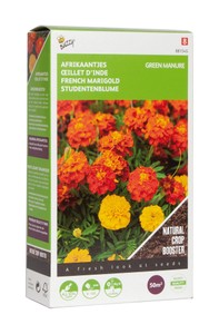 Gründünger Tagetes (50 g)